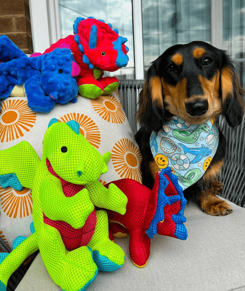 Myd Pet Geschaft -Myd Pet Geschaft 0 E35 FAE 1 9683 48 F8 8362 2 C9014 A9122 F copy 59bda1fc08