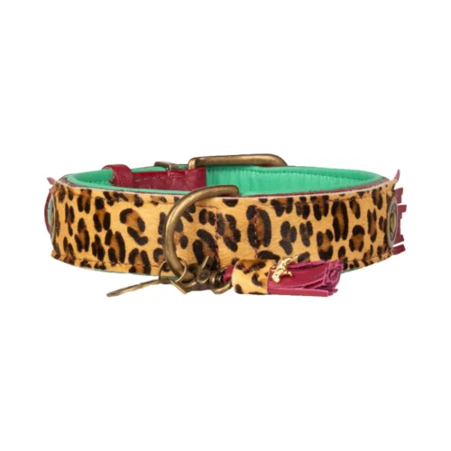 DWAM Halsband Lou Lou -Myd Pet Geschaft 1Yj18mywfAxbaB9oGGkEuZyQHDI4t3 metaRFdBTS1Mb3UtTG91LU5pZXV3LTMuanBn