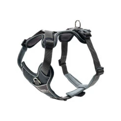 Hunter Geschirr Divo 8 Hunter Geschirr Divo -Myd Pet Geschaft 3xcan5uoGZT4WfdKZW3uTDYf1lvbX2 metaSHVudGVyLUhhcm5hc3MtRGl2by1Hcmlqcy0xLmpwZw