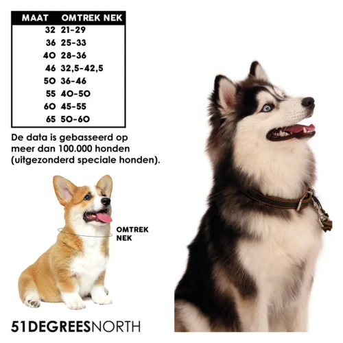 51 Degrees North Halsband Milano 20 51 Degrees North Halsband Milano -Myd Pet Geschaft 51 degrees north milano collar 209969 2000 none
