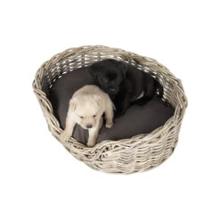 51 Degrees North Rattan Basket 11 51 Degrees North Rattan Basket -Myd Pet Geschaft 51 degrees north rattan basket 209954 1000 none