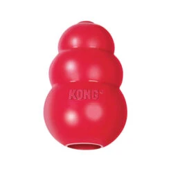 KONG Classic 11 KONG Classic -Myd Pet Geschaft 523739d14511d2444771e211933cea271a288dcf9b37adb06c8e0109217b7806 5