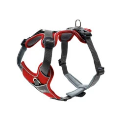 Hunter Geschirr Divo 9 Hunter Geschirr Divo -Myd Pet Geschaft 9GAnMxfJVqEIXxCDu4VytTjhg6oGch metaSHVudGVyLUhhcm5hc3MtRGl2by1Sb29kLTEuanBn