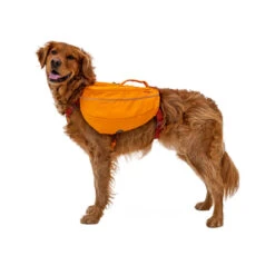 Ruffwear Approach Pack -Myd Pet Geschaft AQ8FtZ0VAfY8ALXwdf9qJ2aTpaefeQ metaUnVmZndlYXItQXBwcm9hY2gtUGFjay1Ib25kLTEuanBn