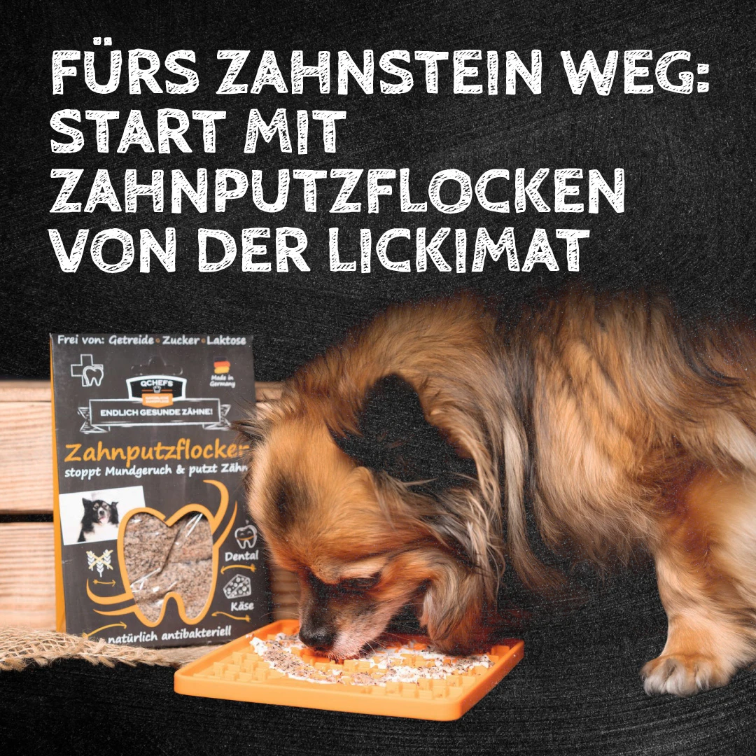 Qchefs Zahnputzflocken Hund 5 Qchefs Zahnputzflocken Hund – Bild 5