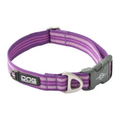 DOG Copenhagen Urban Style™ Halsband -Myd Pet Geschaft Al3GzFCDcQoSfkglSXBN3As1RLcZfT metaRE9HLUNvcGVuaGFnZW4tVXJiYW4tU3R5bGUtQ29sbGFyLVB1cnBsZS1QYXNzaW9uLmpwZw
