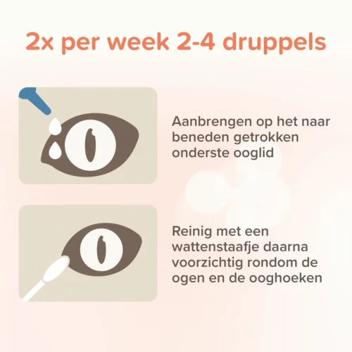 Beaphar Oogdruppels (Augenpflege) -Myd Pet Geschaft D1je0nDyXWl5YtKb9Szoxs2kwgLReX metaT29nZHJ1cHBlbHMtNS5qcGc