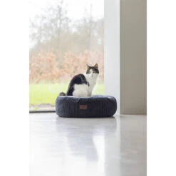 Designed By Lotte Ribbed Katzenkorb -Myd Pet Geschaft G3eBzs7hkBLR3vMJcOknSeD8TerWvx metaRGVzaWduZWQtQnktTG90dGUtUmliYmVkLUxpZ2JlZC1BbnRyYWNpZXQtMi5qcGc