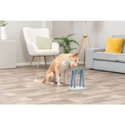 Trixie Dog Activity Hunde-Intelligenzspielzeug Turn Around 7 Trixie Dog Activity Hunde-Intelligenzspielzeug Turn Around -Myd Pet Geschaft G4XS0bV6EdvK2l8j0BCMTkkeBjZEnT metaVHJpeGllLURvZy1BY3Rpdml0eS1UdXJuLUFyb3VuZC1OaWV1dy0zLmpwZw