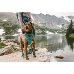 Ruffwear Front Range Harness -Myd Pet Geschaft GaFNmAnRCUPcRMlTpN3EZ5Ta8jAExX metac2ZlZXItZnJvbnRyYW5nZS0xLmpwZw