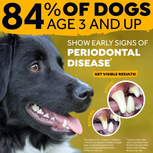 TropiClean - Fresh Breath OralCareGel Kit Peanut Butter - Dog 11 TropiClean - Fresh Breath OralCareGel Kit Peanut Butter - Dog -Myd Pet Geschaft JhxrJqwnmjRX77T8GCf2cqPf92Wgsg metaT3JhbC1DYXJlLUdlbC1QZWFudXQtQnV0dGVyLTMuanBn