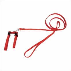 Beeztees Nylon Katzengeschirr -Myd Pet Geschaft Kg3nZ9xL1kgSDzMtS2nH0a2lPL9esF metaQmVlenRlZXMtTnlsb24tS2F0dGVudHVpZ2plLXJvb2QucG5n