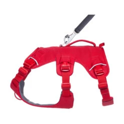 Ruffwear Webmaster Harness 25 Ruffwear Webmaster Harness -Myd Pet Geschaft Lf5Dk0qMy3iY4NoXbg8fm5jVVMnJlU metaUnVmZndlYXItV2ViLU1hc3Rlci1IYXJuZXNzLVJlZC1DYW55b24tMi5qcGc
