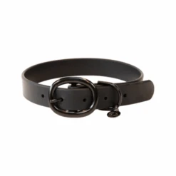 Kentucky Dogwear Soft Rubber Hundehalsband 21 Kentucky Dogwear Soft Rubber Hundehalsband -Myd Pet Geschaft O4XAzs0Yn1VPyYEWcNTxaQydOwG3hc metaS2VudHVja3ktRG9nd2Vhci1Tb2Z0LVJ1YmJlci1Ib25kZW5oYWxzYmFuZC16d2FydC5wbmc