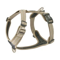 DOG Copenhagen Comfort Walk Air™ Geschirr -Myd Pet Geschaft WRZnRTMHjfr6OfbJFzb3LlYofjFyqq metaQ29tZm9ydC1XYWxrLUFpcuKEoi1IYXJuZXNzLWRlc2VydC1kdW5lLmpwZw