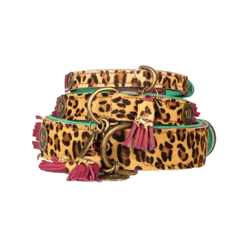 DWAM Halsband Lou Lou -Myd Pet Geschaft WnA0ORlkBgwvpSuKRYi7E3UoQQnru6 metaRFdBTS1Mb3UtTG91LU5pZXV3LTEuanBn