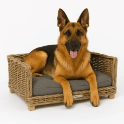 51 Degrees North Rattan Bed 10 51 Degrees North Rattan Bed -Myd Pet Geschaft YLXrEq6msfT4Q0HOHxYqLXxh5oYy1D metaRHVpdHNlIGhlcmRlci1SYXR0YW4gQmVkLnBuZw