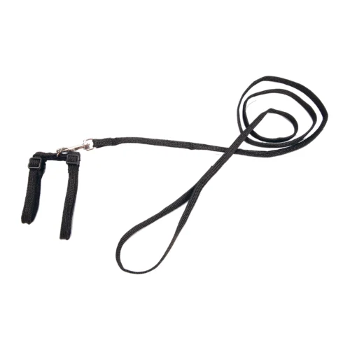 Beeztees Nylon Katzengeschirr 6 Beeztees Nylon Katzengeschirr -Myd Pet Geschaft YPC3Jq4PD3o8HAEXim10oDIdDTclnh metaQmVlenRlZXMtTnlsb24tS2F0dGVudHVpZ2plLXp3YXJ0LnBuZw