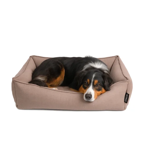 Lex & Max Paris Hundebett -Myd Pet Geschaft YqI8rJy6JfgA6oEc1ggh1CBiUonAJW metaQmVybmVyIHNlbm5lbi1MZXggJiBNYXggUGFyaXMgSG9uZGVubWFuZC5wbmc