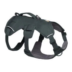 Ruffwear Webmaster Harness 17 Ruffwear Webmaster Harness -Myd Pet Geschaft ZktmGbj217ZOsBcI4309rzBLrG1NHB metaUnVmZndlYXItV2VibWFzdGVyLUJhc2FsdC1HcmF5LTEuanBn