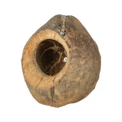 Back Zoo Nature Villa Kokosnüsse -Myd Pet Geschaft back zoo nature villa coconuts 229417 0500 none