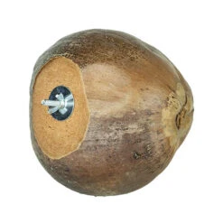 Back Zoo Nature Villa Kokosnüsse -Myd Pet Geschaft back zoo nature villa coconuts 229418 0500 none