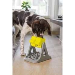 Beeztees Brain Game Rodar -Myd Pet Geschaft beeztees brain game rodar 221757 2000 none