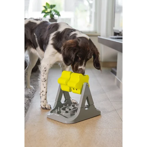 Beeztees Brain Game Rodar -Myd Pet Geschaft beeztees brain game rodar 221757 2000 none