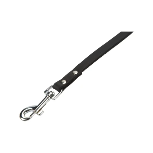 Beeztees Enjoy Hundeleine -Myd Pet Geschaft beeztees geniet hondenriem 200033 2000 none