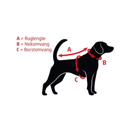 Beeztees Hundehalsband Leder -Myd Pet Geschaft beeztees halsband hond leer 199229 1000 none