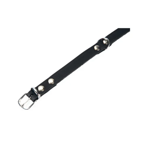 Beeztees Hundehalsband Leder -Myd Pet Geschaft beeztees halsband hond leer 199253 2000 none