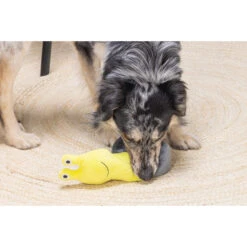 Beeztees Hide And Seek Schnecke -Myd Pet Geschaft beeztees hide and seek slak 221791 2000 none