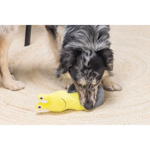 Beeztees Hide And Seek Schnecke -Myd Pet Geschaft beeztees hide and seek slak 221791 2000 none