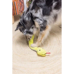 Beeztees Hide And Seek Schlange -Myd Pet Geschaft beeztees hide and seek slang 221781 2000 none