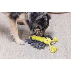 Beeztees Hide And Seek Schmetterling -Myd Pet Geschaft beeztees hide and seek vlinder 221795 2000 none