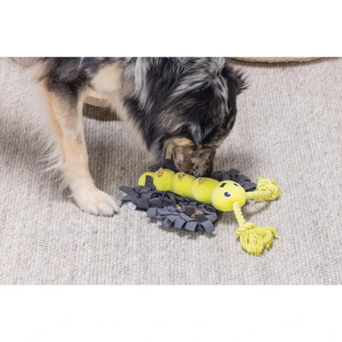 Beeztees Hide And Seek Schmetterling -Myd Pet Geschaft beeztees hide and seek vlinder 221795 2000 none