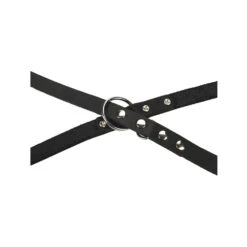 Beeztees Hundeleine Leder -Myd Pet Geschaft beeztees hondenriem leer 199292 1000 none