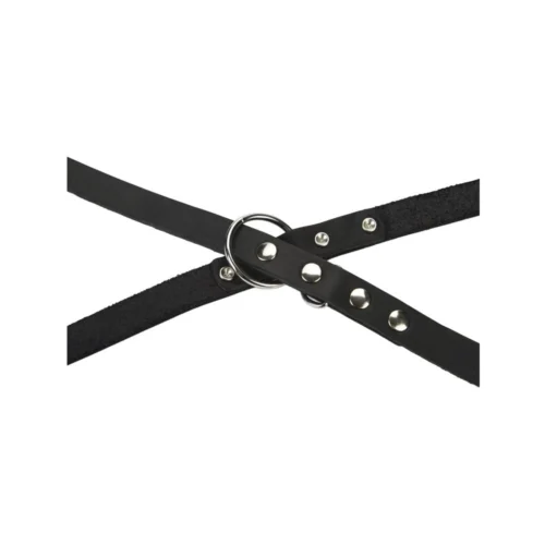 Beeztees Hundeleine Leder 10 Beeztees Hundeleine Leder -Myd Pet Geschaft beeztees hondenriem leer 199292 1000 none