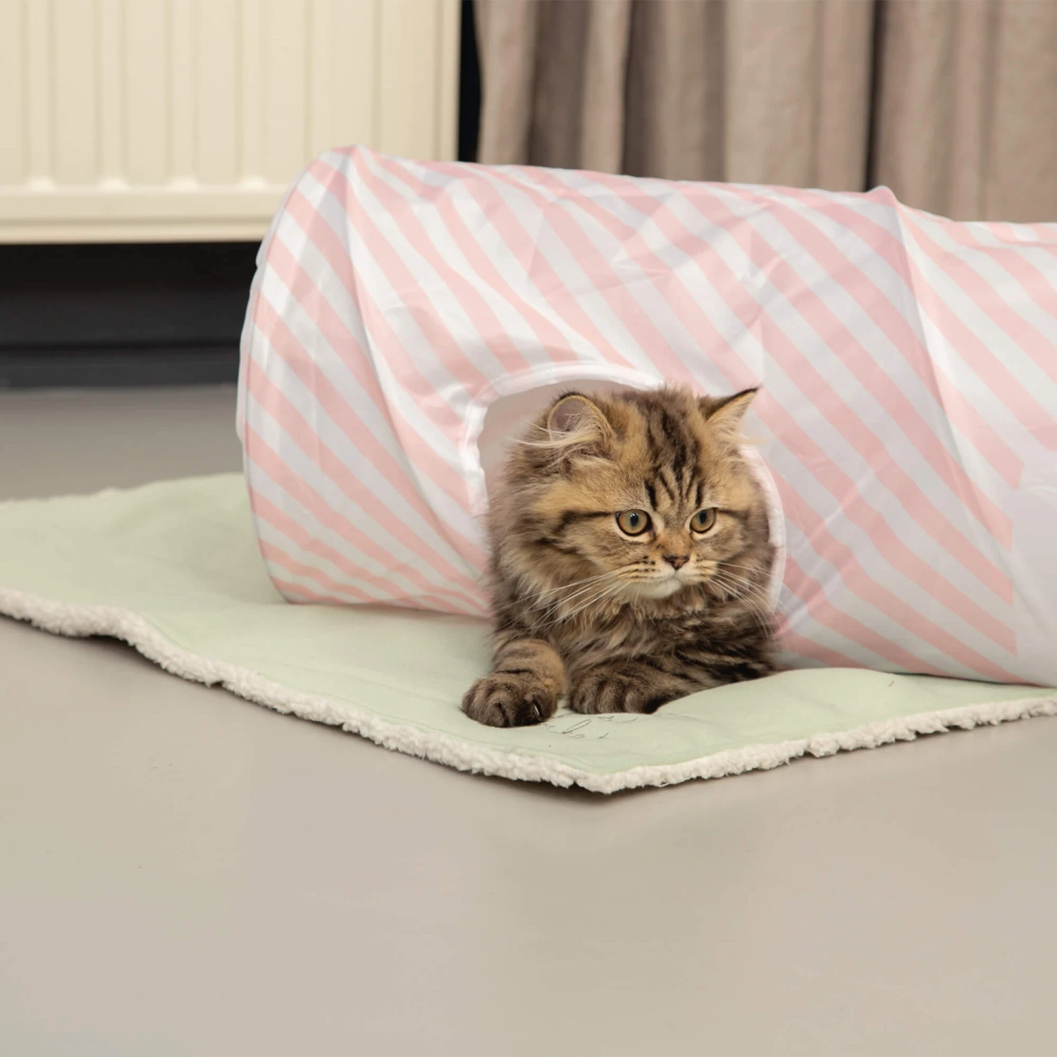 Beeztees Kätzchen Plüschdecke Tilou 4 Beeztees Kätzchen Plüschdecke Tilou – Bild 4