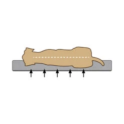 Beeztees Memory Foam Jaxx - Hundekorb - Plüsch -Myd Pet Geschaft beeztees memory foam jaxx hondenmand pluche 223267 1000 none