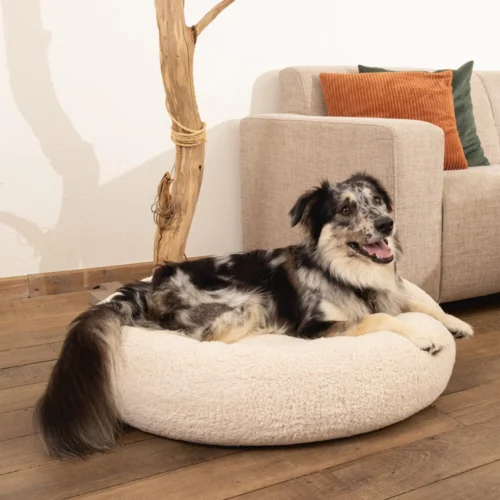 Beeztees Memory Foam Jaxx - Hundekorb - Plüsch -Myd Pet Geschaft beeztees memory foam jaxx hondenmand pluche beige 184432 1000 none