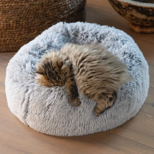 Beeztees Orthopädischer Katzenkorb Siba 16 Beeztees Orthopädischer Katzenkorb Siba -Myd Pet Geschaft beeztees orthopedische kattenmand siba 226844 1000 none