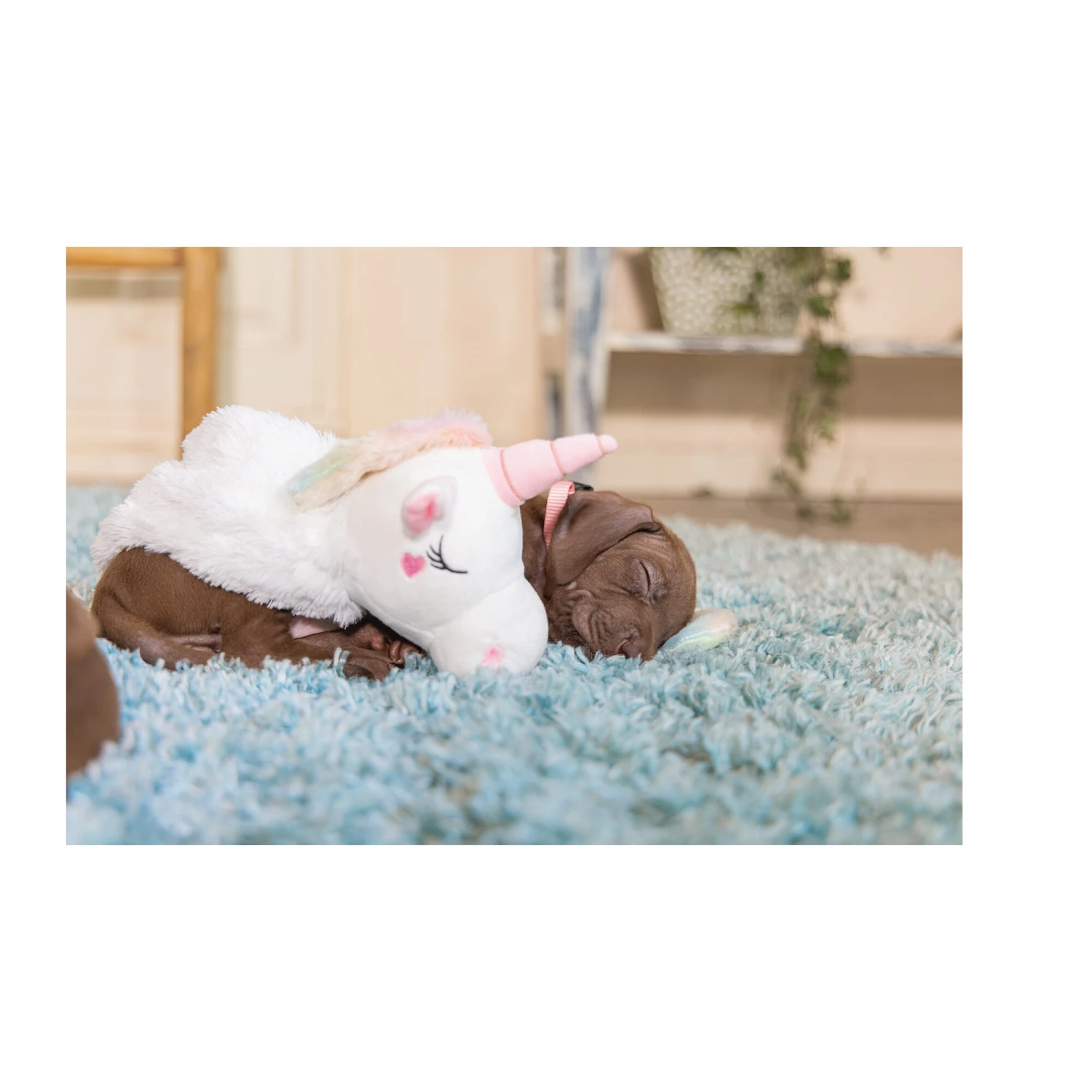 Beeztees Puppy Flatino Einhorn Lo 3 Beeztees Puppy Flatino Einhorn Lo – Bild 3