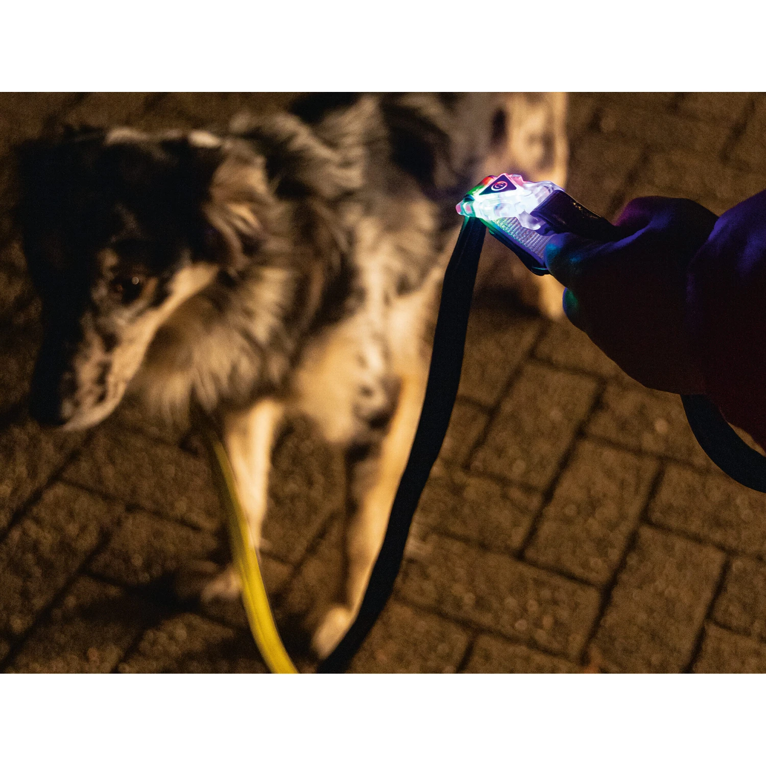 Beeztees Safety Gear Parinca Premium Hundeleine 4 Beeztees Safety Gear Parinca Premium Hundeleine – Bild 4