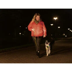 Beeztees Safety Gear Parinca Premium Hundeleine 14 Beeztees Safety Gear Parinca Premium Hundeleine -Myd Pet Geschaft beeztees safety gear parinca premium hondenriem 215042 2000 none