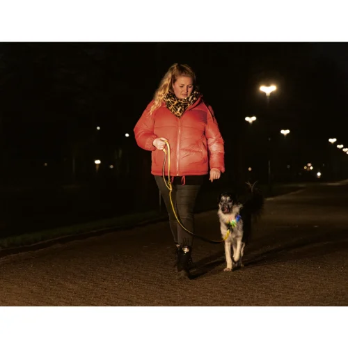 Beeztees Safety Gear Parinca Premium Hundeleine 14 Beeztees Safety Gear Parinca Premium Hundeleine -Myd Pet Geschaft beeztees safety gear parinca premium hondenriem 215042 2000 none