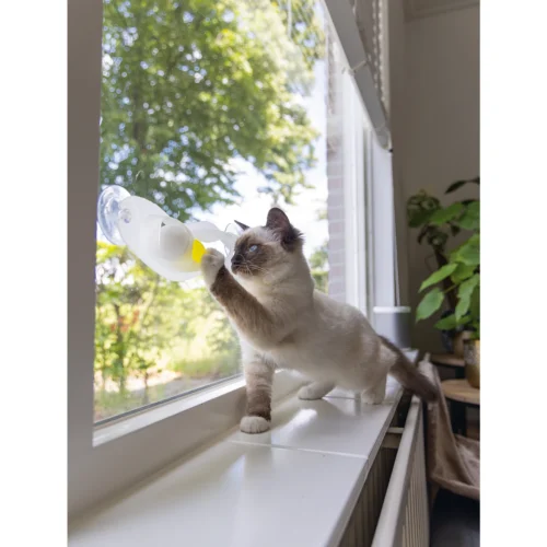 Beeztees Kittenspielzeug Windo 8 Beeztees Kittenspielzeug Windo -Myd Pet Geschaft beeztees speelrail windo 216515 2000 none