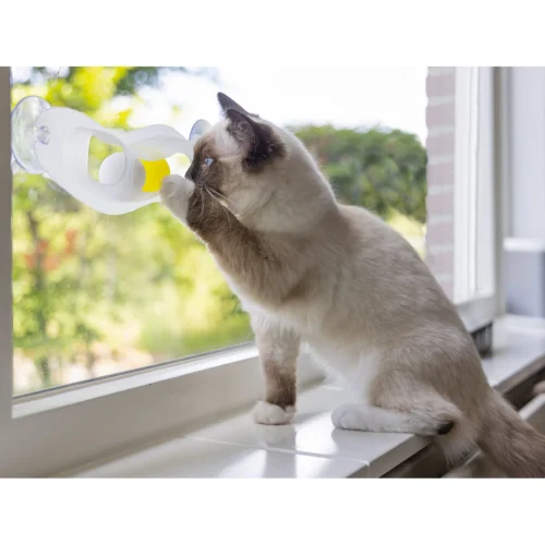 Beeztees Kittenspielzeug Windo 9 Beeztees Kittenspielzeug Windo -Myd Pet Geschaft beeztees speelrail windo 216516 2000 none