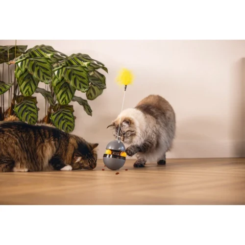 Beeztees Wibol 10 Beeztees Wibol -Myd Pet Geschaft beeztees wibol 228141 1000 none