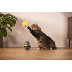 Beeztees Wibol -Myd Pet Geschaft beeztees wibol 228142 1000 none